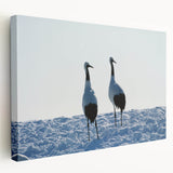 Elegant stretched canvas wall art featuring a serene crane design, showcasing intricate details and soft color tones, perfect for modern home decor.
