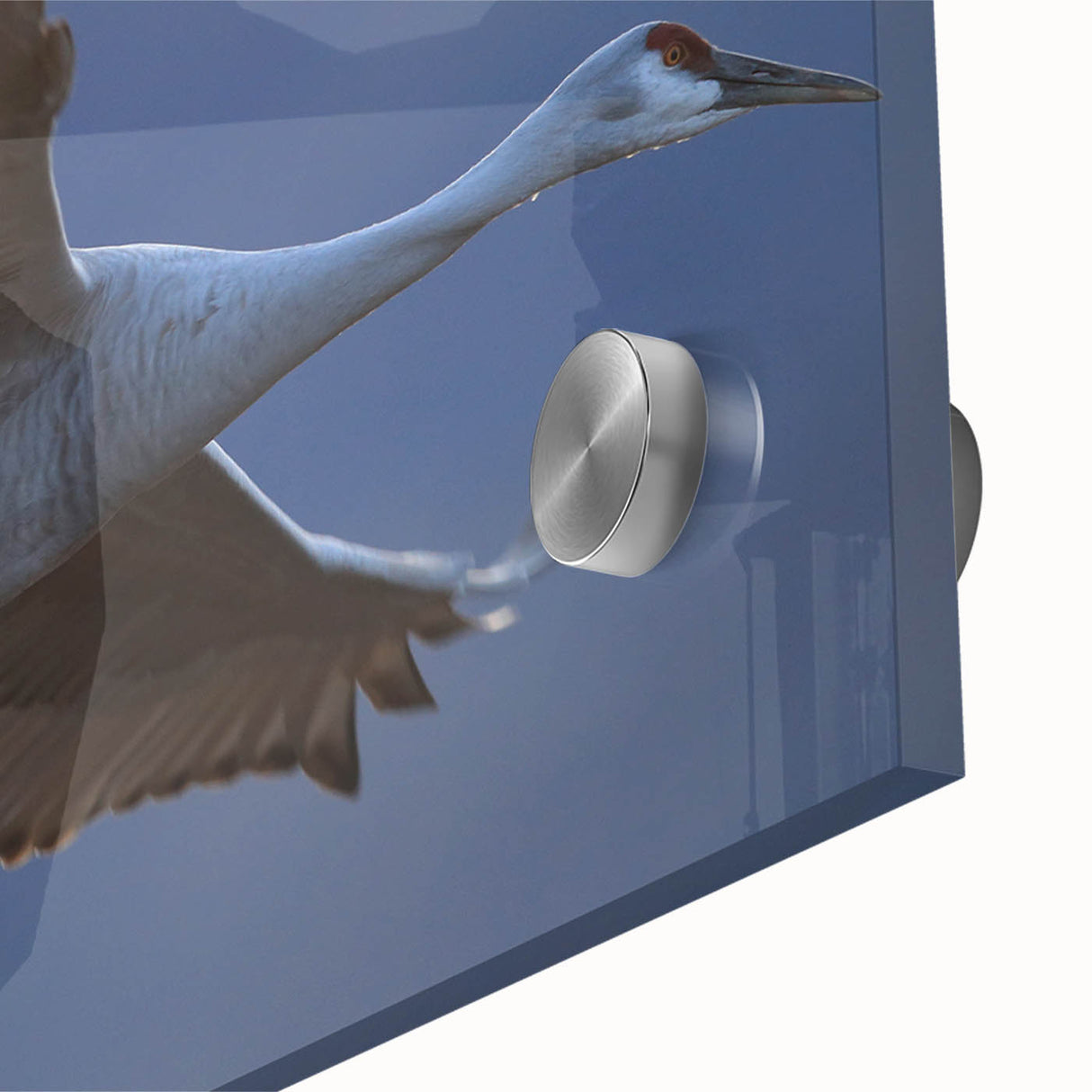 Close-up view of a vibrant crane design wall art piece on acrylic glass, showcasing intricate details and vivid colors, perfect for modern home decor.