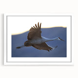 Elegant wall art featuring a crane design in a white frame with a mat, showcasing intricate details and artistic craftsmanship, perfect for home decor.