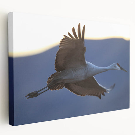 Elegant stretched canvas wall art featuring a serene crane design in soft hues of blue and gray, perfect for enhancing modern home decor.