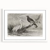 Elegant wall art featuring a crane design in a white frame with a mat, perfect for modern decor. Ideal for nature lovers and contemporary interiors.