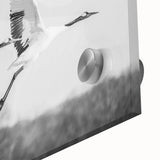 Close-up of a vibrant acrylic glass wall art piece featuring a delicate crane design, showcasing intricate details and bold colors that enhance any modern decor.