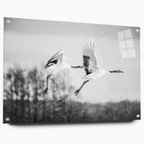 Elegant wall art collection featuring a side view of crane design on acrylic glass, showcasing intricate details and vibrant colors, perfect for modern decor.