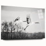 Elegant acrylic wall art showcasing a side view of a crane design, perfect for modern decor. The artwork features vibrant colors against a sleek glass finish, ideal for enhancing contemporary spaces.