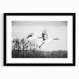 Framed wall art featuring a striking black crane design with a mat, perfect for modern decor. Elegant front view showcasing intricate details and stylish aesthetics.