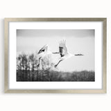 Framed wall art collection featuring elegant crane designs with a silver mat and frame, perfect for enhancing modern home decor and adding a touch of sophistication.