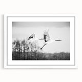 Framed wall art featuring an elegant crane design in a minimalist white frame, showcasing delicate details and soft colors, perfect for modern home decor.