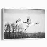 Framed wall art featuring a stunning crane design on a textured canvas, showcasing elegant white and blue colors, perfect for modern home decor.