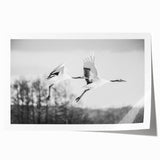 Elegant rolled print of a crane design wall art, showcasing delicate details and vibrant colors, housed in a protective cardboard tube for safe shipping. Perfect for enhancing modern decor.