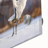 Close-up of a stunning crane design wall art piece, featuring intricate details and vibrant colors, displayed on acrylic glass for a modern aesthetic.