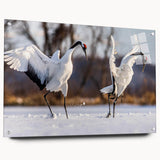 Acrylic wall art collection showcasing a graceful crane design, displayed in a sleek side view with mounting pins, perfect for modern home decor.