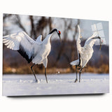 Elegant wall art collection featuring a side view of a crane design printed on acrylic glass, showcasing vibrant colors and intricate details, perfect for modern decor.