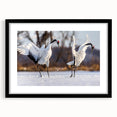 Framed wall art collection featuring elegant crane designs in black matting, showcasing a modern aesthetic perfect for home decor. The black frame highlights the intricate details of the artwork, adding sophistication to any room.