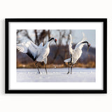 Framed wall art collection featuring elegant crane designs in black matting, showcasing a modern aesthetic perfect for home decor. The black frame highlights the intricate details of the artwork, adding sophistication to any room.