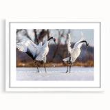 Elegant wall art featuring a crane design in a minimalist white frame with a mat, perfect for enhancing modern home decor. Ideal for bird lovers and art enthusiasts.