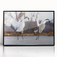 Framed acrylic wall art featuring a stunning crane design, showcasing intricate details and vibrant colors, perfect for enhancing modern home decor.