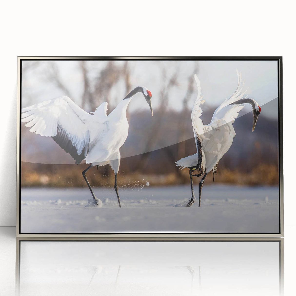 Framed wall art collection featuring a stunning crane design in silver acrylic, elegantly displayed from a front view, perfect for modern home décor.