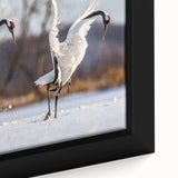 Framed canvas wall art featuring a detailed close-up of elegant crane designs, showcasing vibrant colors and intricate patterns, perfect for modern decor.