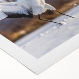 Elegant rolled canvas featuring a serene crane design in soft pastel tones, perfect for enhancing modern home decor. Ideal for wall art enthusiasts and nature lovers.