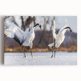 Elegant wall art canvas featuring a striking crane design with vibrant colors, perfect for enhancing home decor. Ideal for bird lovers and art enthusiasts.