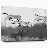 Elegant wall art collection showcasing a side view of a crane design printed on acrylic glass, featuring vibrant colors and sleek pins for easy hanging. Perfect for modern home decor, this piece adds a touch of sophistication and nature-inspired beauty to any space.
