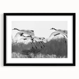 Framed wall art featuring an elegant crane design in black and white, showcasing intricate details and a modern aesthetic, ideal for home decor.