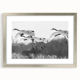 Elegant silver-framed wall art featuring a detailed crane design, showcasing intricate patterns and colors, perfect for enhancing modern home decor aesthetics.