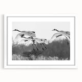 Elegant wall art collection featuring a framed crane design on a white mat, showcasing intricate details and a modern aesthetic, perfect for home decor enhancement.