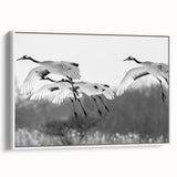 Framed canvas wall art featuring a serene crane design in elegant white tones, perfect for adding a touch of tranquility to modern home decor.