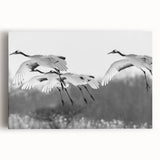 Elegant crane design stretched canvas wall art featuring intricate details and vibrant colors, perfect for modern home decor and enhancing interior aesthetics.