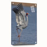 Acrylic glass wall art showcasing a crane design in vibrant colors, displayed from the side with pins, perfect for modern decor and bird enthusiasts.