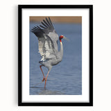 Framed wall art featuring an elegant crane design in black, with a sleek mat and frame, perfect for enhancing modern home decor and adding artistic flair.