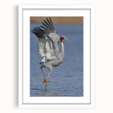 Elegant white-framed wall art featuring a vibrant crane design, perfect for home decor. The artwork showcases intricate details and a serene color palette.