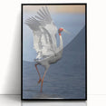 Framed wall art featuring a black crane design on acrylic, showcasing intricate details and a sleek modern aesthetic, ideal for contemporary decor.