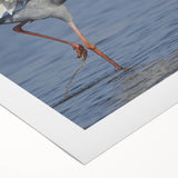 Colorful rolled canvas wall art depicting elegant cranes in a serene landscape, featuring intricate details and vibrant colors, perfect for home decor.