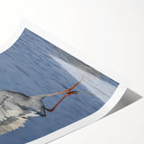 Cranes elegantly depicted in a vibrant, artistic wall art print, featuring a colorful design on rolled canvas, ideal for contemporary home décor.