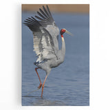 Stretched canvas wall art showcasing an elegant crane design in soft pastel colors, ideal for modern home décor and adding a serene touch to any room.