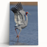 Elegant crane design wall art on stretched canvas, featuring soft pastel colors and intricate detailing, perfect for modern home decor and artistic ambiance.