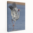 Stretched canvas wall art featuring an intricate crane design in soft blue and white hues, showcasing elegant details and vibrant colors, perfect for modern decor.