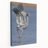 Stretched canvas wall art featuring an intricate crane design in soft blue and white hues, showcasing elegant details and vibrant colors, perfect for modern decor.