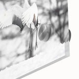 Close-up of a stunning crane wall art design set against a sleek acrylic glass background, showcasing intricate details and vibrant colors, perfect for modern decor.