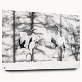 Side view of a wall art collection showcasing a crane design printed on acrylic glass, featuring a sleek modern aesthetic and mounted with decorative pins for easy display. Perfect for adding a touch of elegance to contemporary home decor.