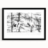 Framed wall art featuring a graceful crane design in black and white, set against a sleek black mat, perfect for enhancing modern home decor.