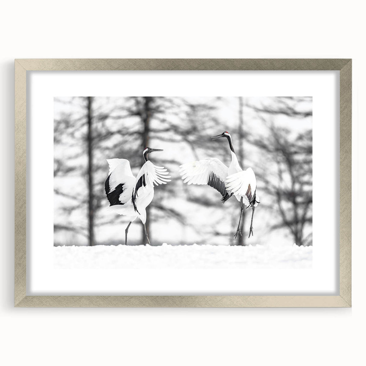 Framed wall art collection showcasing elegant crane design in silver frame, featuring a mat for added depth, perfect for modern home decor.