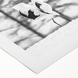 Elegant rolled canvas showcasing a vibrant crane design in a contemporary style, perfect for enhancing modern home decor. The artwork is rolled for easy shipping and storage.