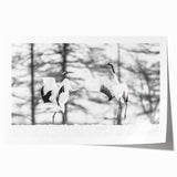 Elegant rolled print of a crane design wall art collection featuring vibrant colors and intricate details, perfect for enhancing home décor and artistic expression.