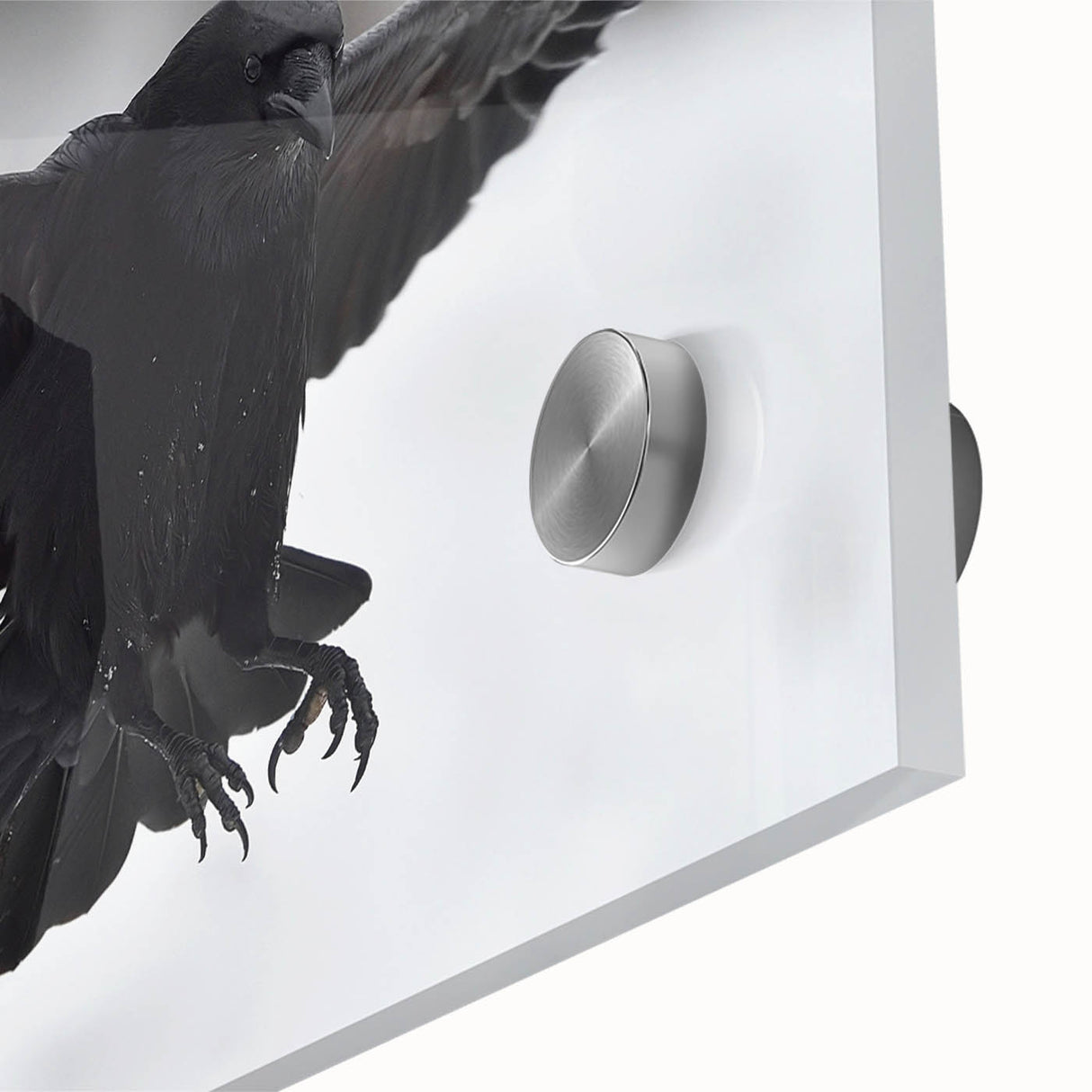 Close-up of a vibrant wall art piece showcasing a crow and raven design, featuring intricate details on acrylic glass, perfect for modern home decor.