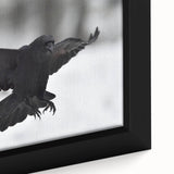 Close-up of a framed canvas wall art featuring a striking design of a crow and raven, showcasing intricate details and rich colors, perfect for bird lovers.