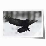 Artistic wall print showcasing a detailed design of a crow and raven, featuring intricate patterns and natural colors, perfect for bird enthusiasts and home decor.