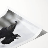 Black crow and raven wall art print showcasing intricate designs, rolled for easy shipping, ideal for adding a touch of nature-inspired decor to any space.